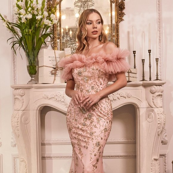 NEW FLOOR LENGTH OFF THE SHOULDER SLEEVELESS TULLE GOWN WITH ZIPPER BACK CD J818 - Picture 4 of 9